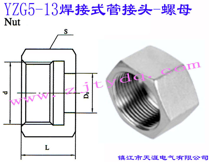 YZG5-13 ʽܽ^-ĸNut